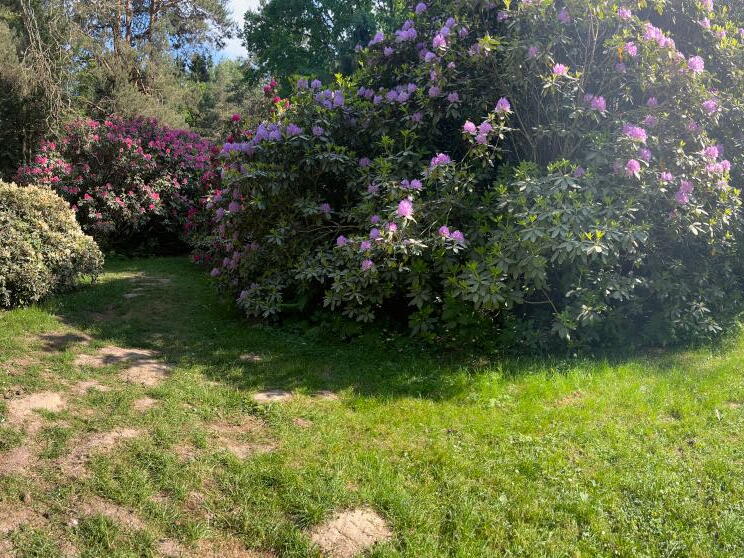 23-06-03 17-24-05 5826